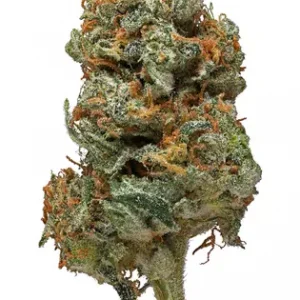 Buy Romulan Weed Flower UK
