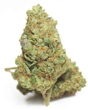 Shadow Dancer Marijuana Strain UK