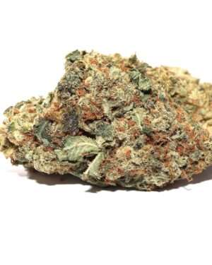 Buy Pinetrak Marijuana Strain UK
