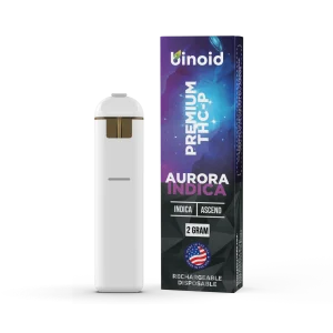 Buy THC-P Rechargeable Disposable – 2 Gram