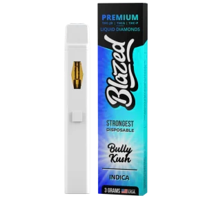Buy THCA + Delta 9P 3 Gram Disposable – Blazed